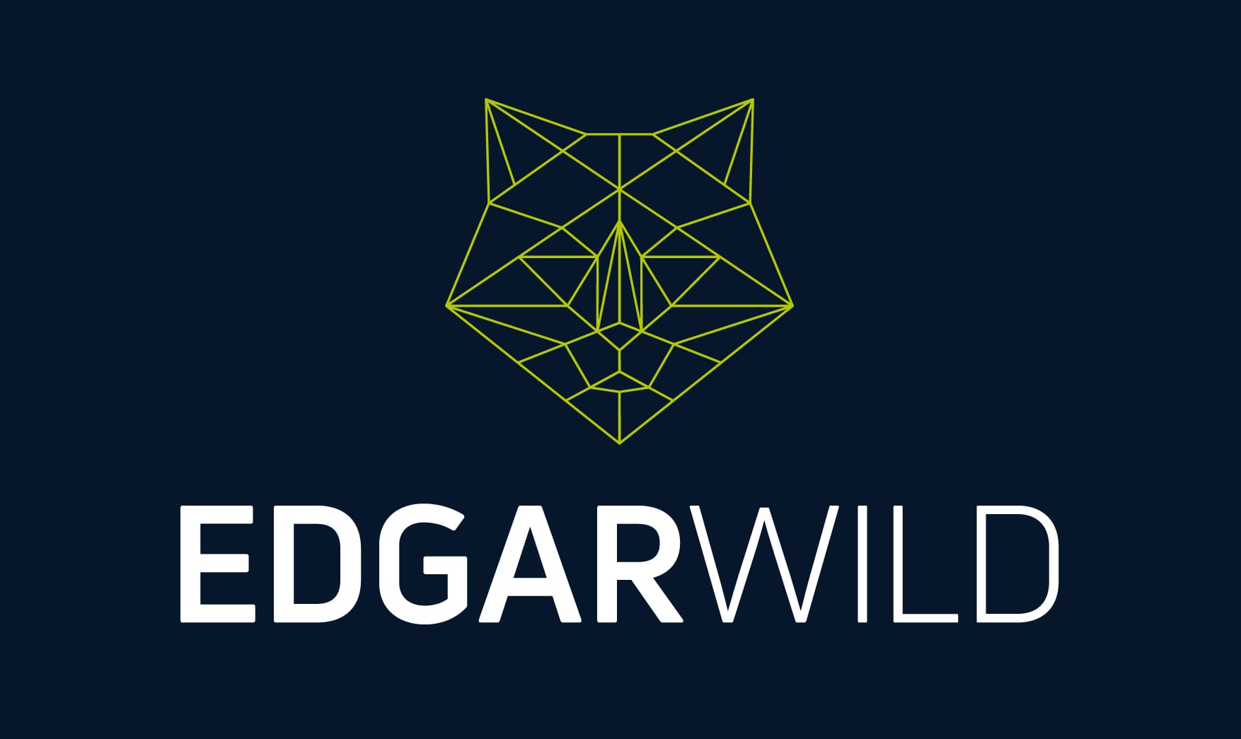 Edgar Wild The Designer